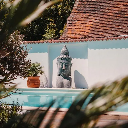 Moai Sarvar